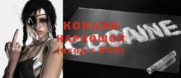 шишки Киренск