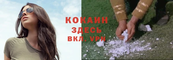 шишки Киренск