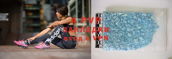 шишки Киренск