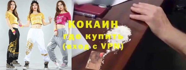 шишки Киренск