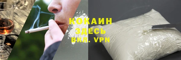 шишки Киренск