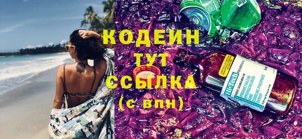 шишки Киренск