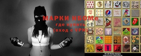 хмурый Козловка